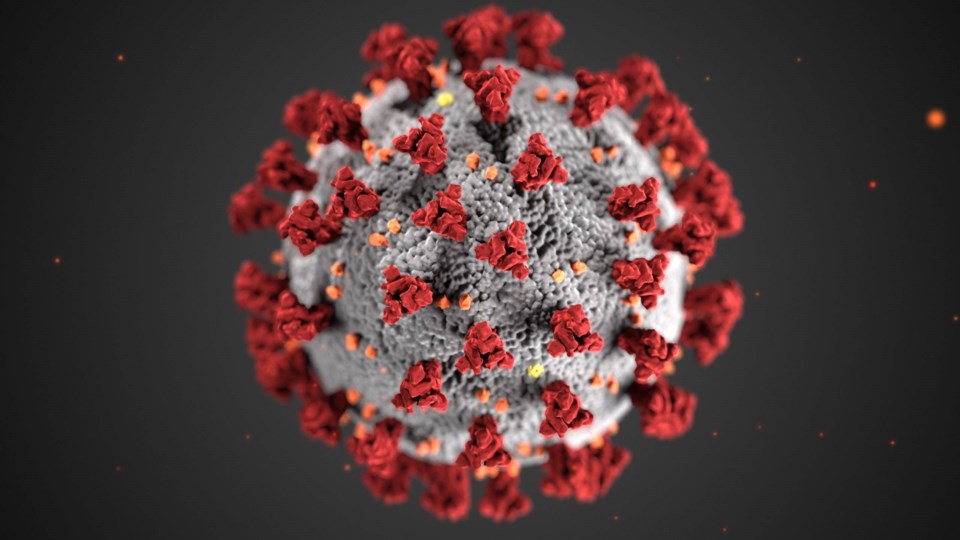 COVID-19, coronavirus, virus