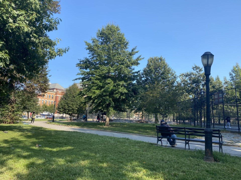 park, summer, Maria Hernandez, Bushwick