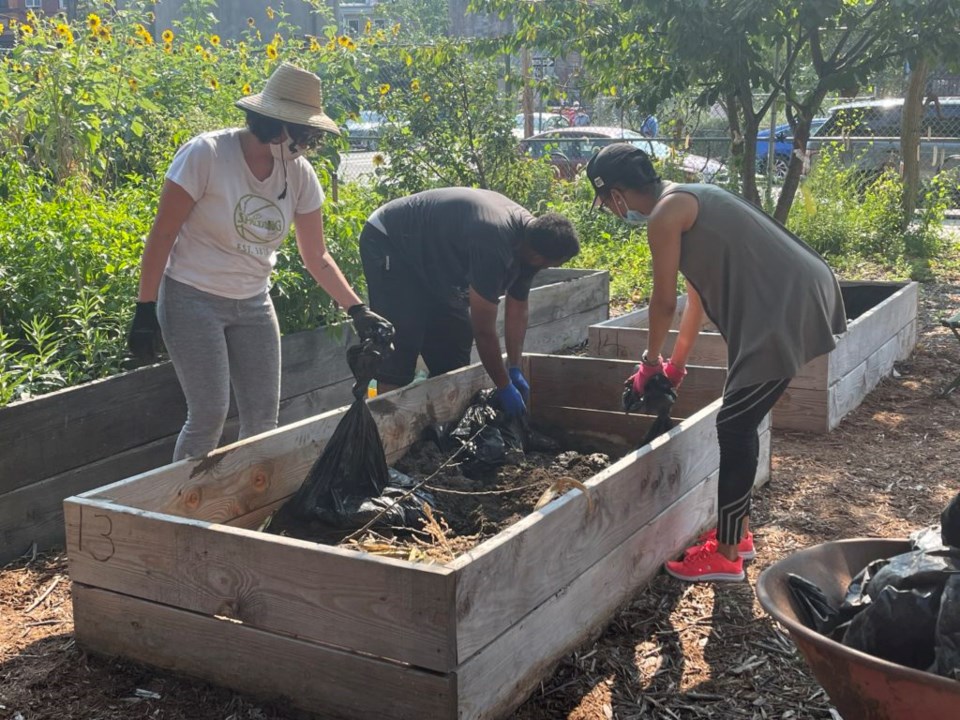 Revitalizing garden beds with compost from BK Rot. Photo: provided.