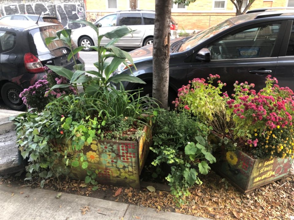 One of FoodBabySoul's many funky gardens. Photo: Miranda Levingston for the BK Reader. 