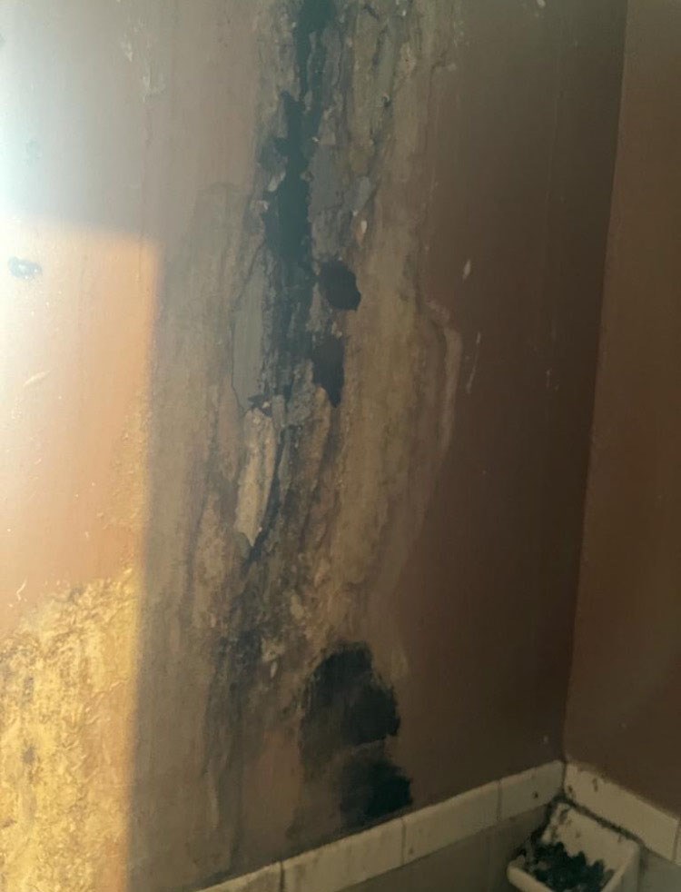 An image of what Ikorine Fairclough said is toxic mold in her apartment