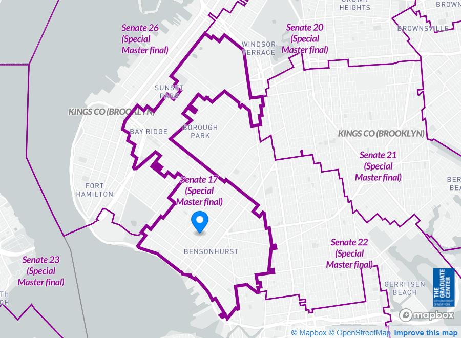 State Senate District 17 includes parts of Sunset Park, Bensonhurst, Bath Beach and a sliver of Bay Ridge.