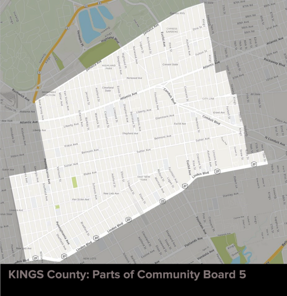 Brooklyn Cease and Desist Zoning