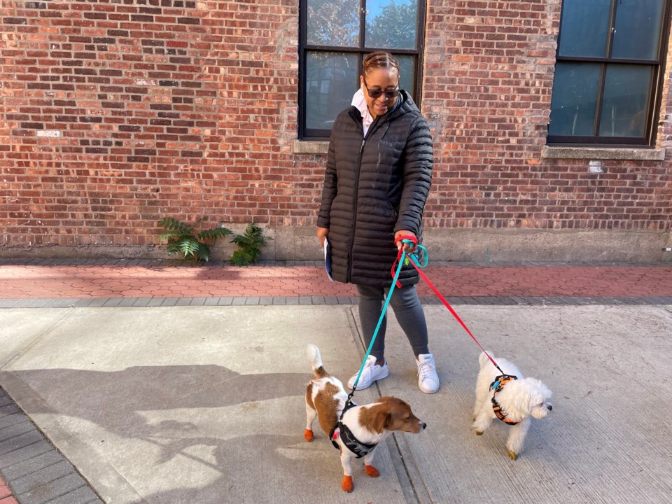 Stephanie Bascombe and pooches in booties. Photo: Jessy Edwards for the BK Reader.