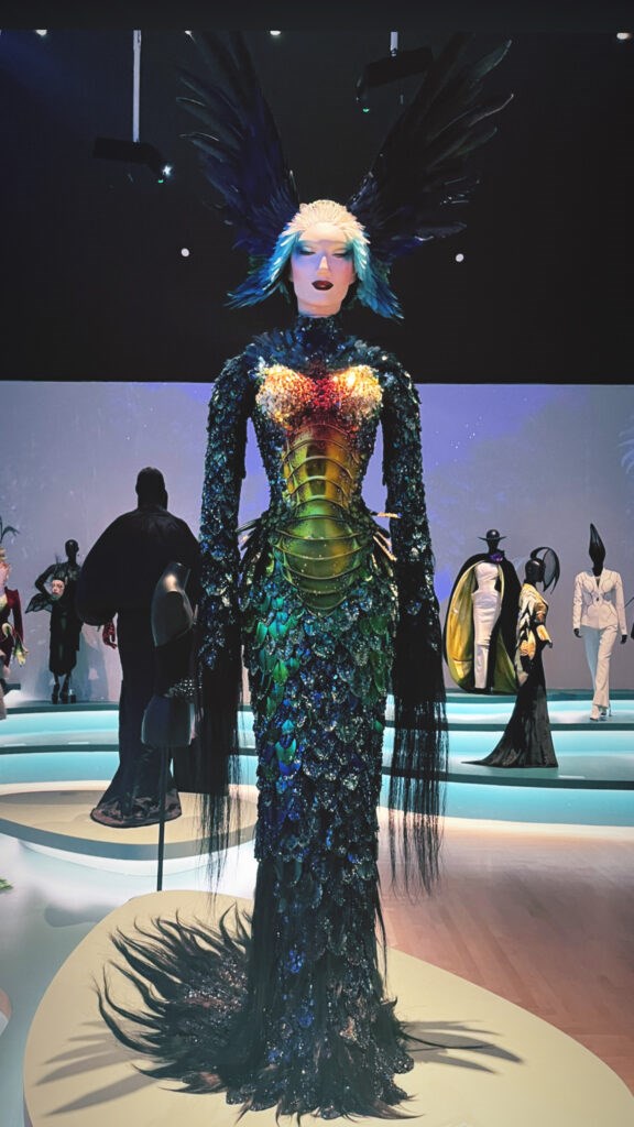 A feathered fantasy