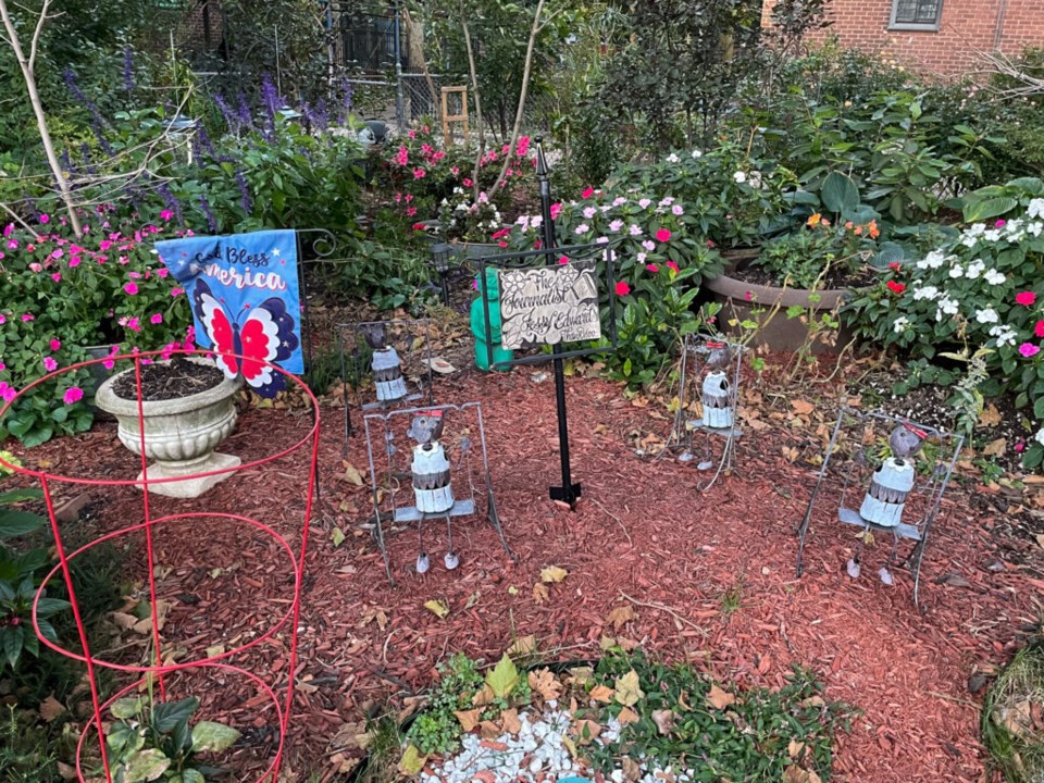One of Cook's gardens, as seen in October. Photo: Jessy Edwards for BK Reader.