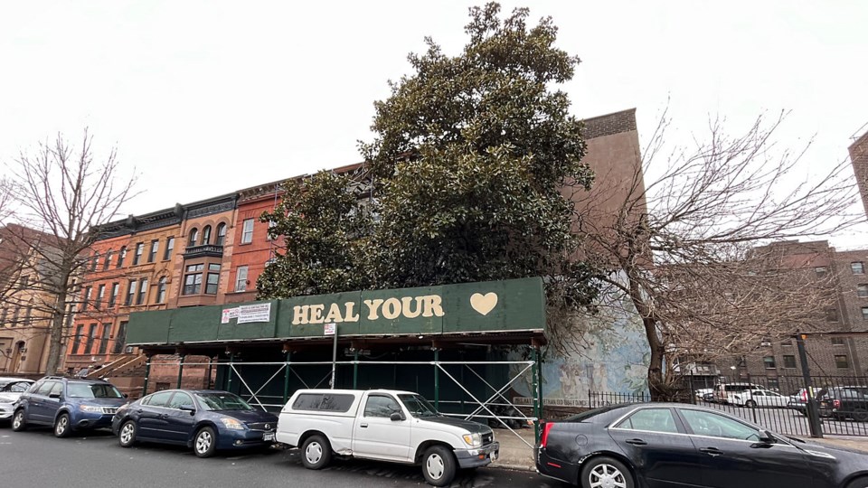 Magnolia Tree center hopes to strengthen roots in Bed-Stuy