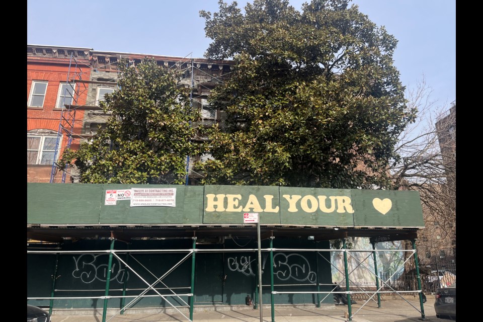 The Center's scaffolding. Photo: Natasha Knows for BK Reader.