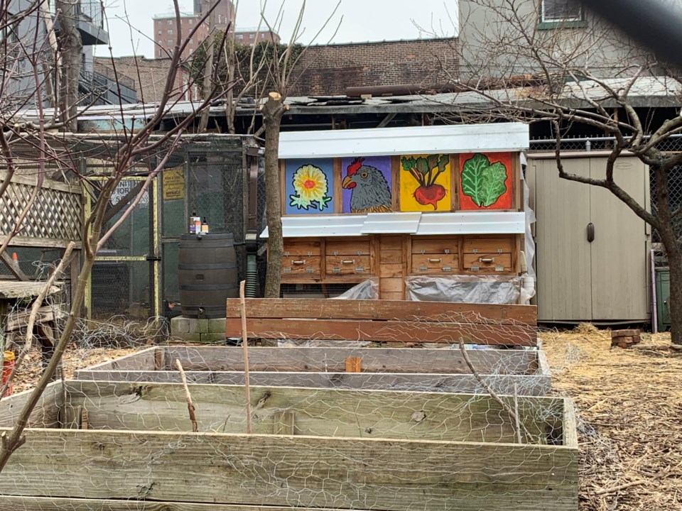 Tranquility Farm and the new, glowed-up chicken coop. Photo: Thao Nguyen for BK Reader.