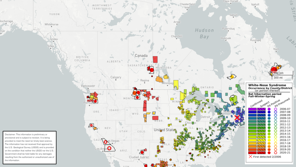 Bat map