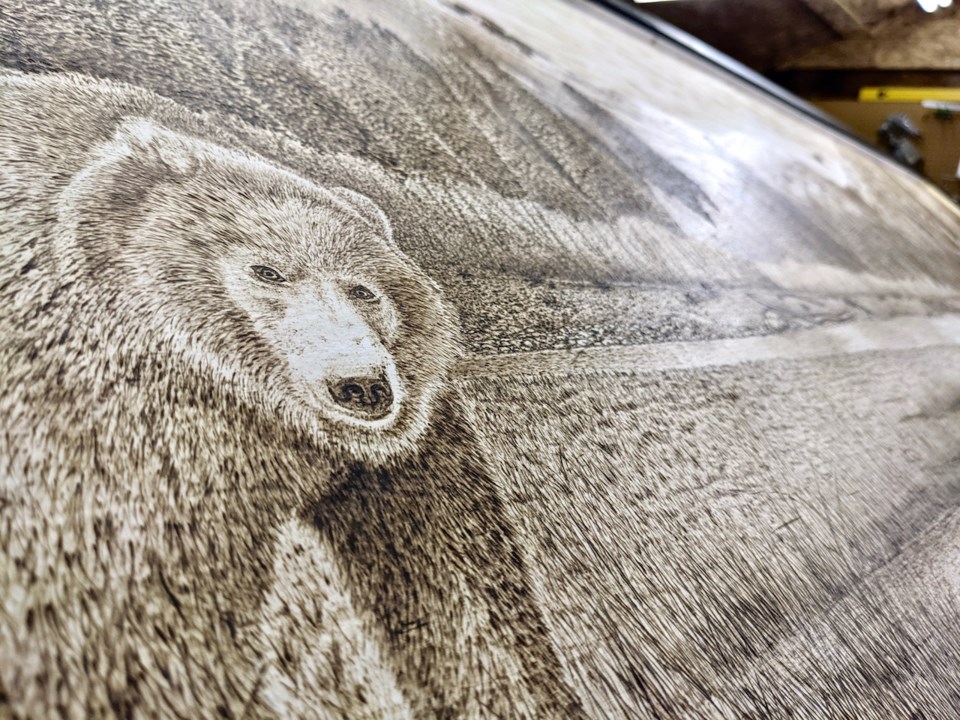 Grizzly bear pyrography