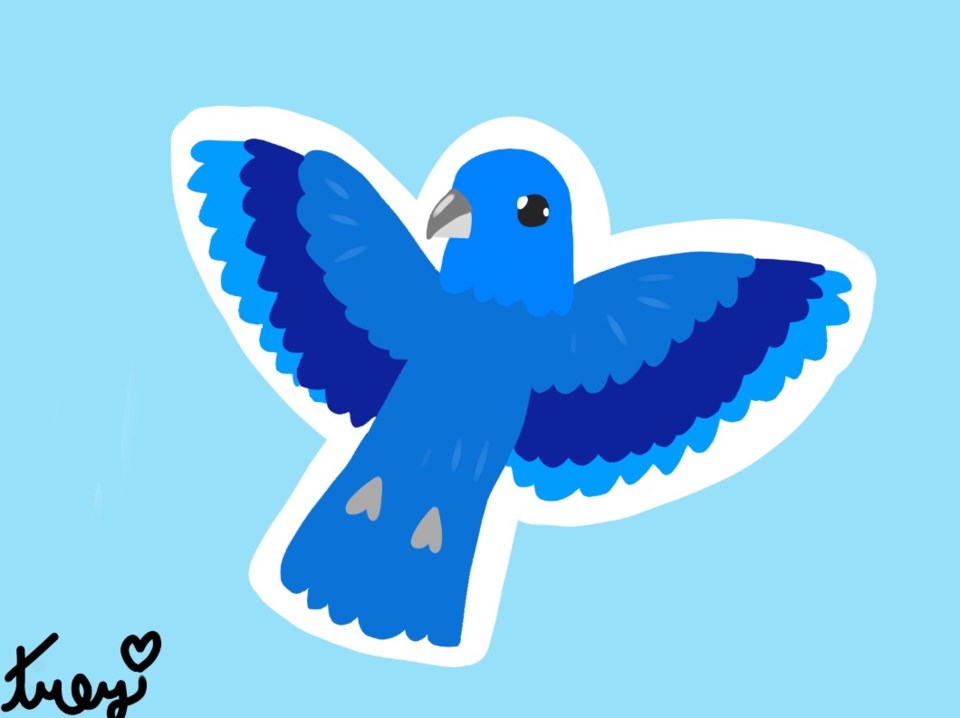 Computer image of a blue bird with wings open