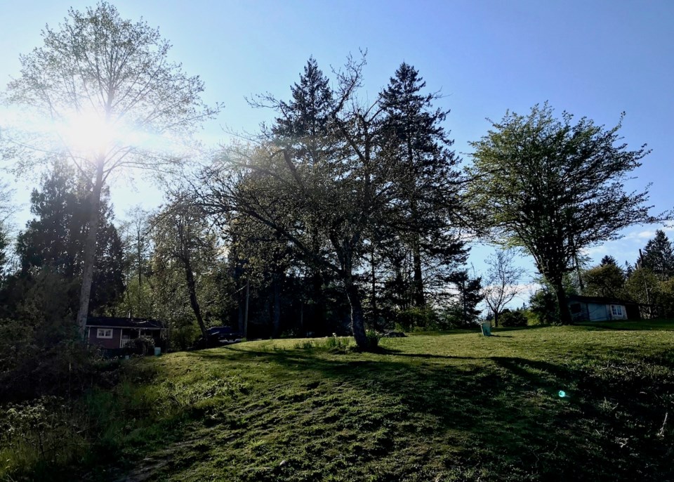 Shot from below of Davies Orchard