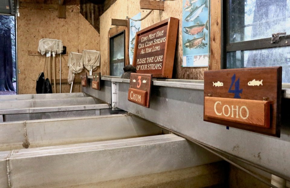 Troughs of Terminal Creek Hatchery