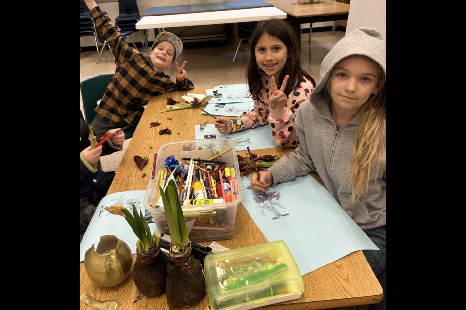 BICS Garden Club Students recently learned about amazing Amaryllis bulbs! 