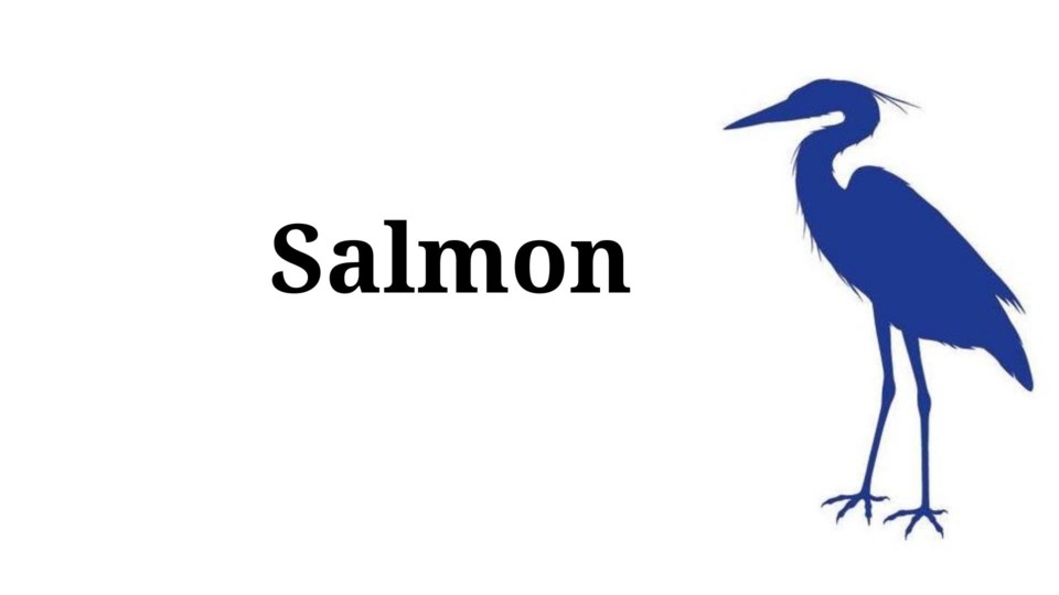 Salmon