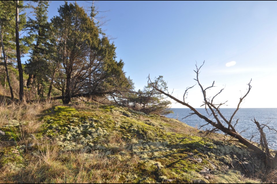 View from the southern shores. 