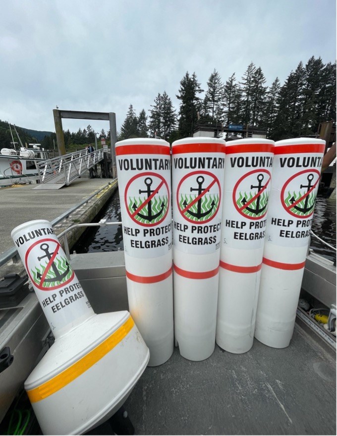 Buoys for delineating the no-anchoring zone 