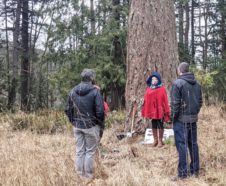 Silvaine Zimmerman stands before the Doug fir talking with Liam Edwards and Aaron Hanen