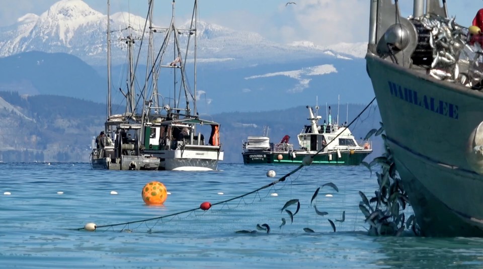 Herring fishery - photo by Bob Turner