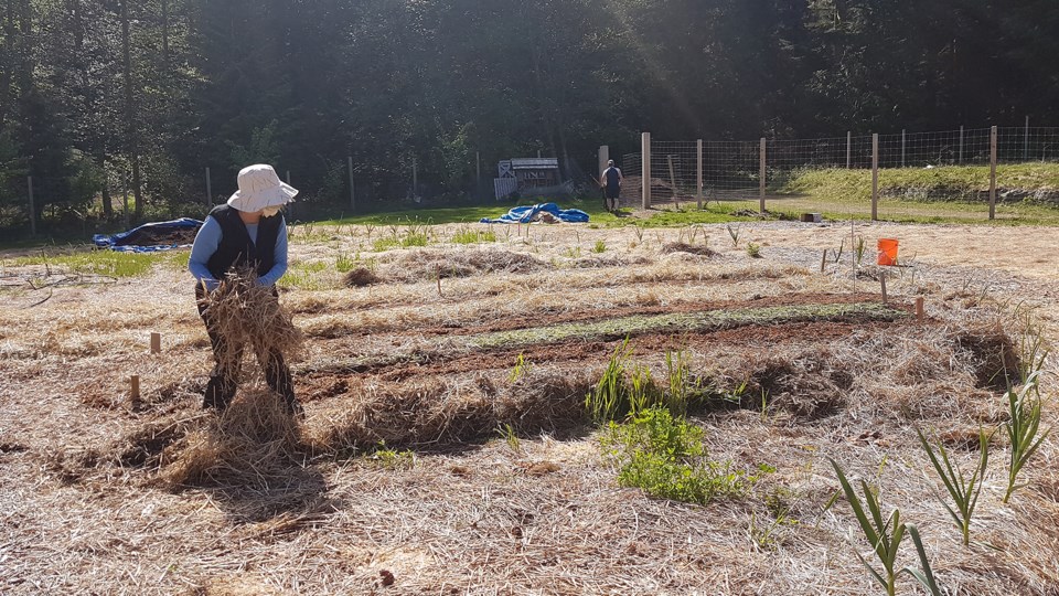 Jackie Bradley with mulch