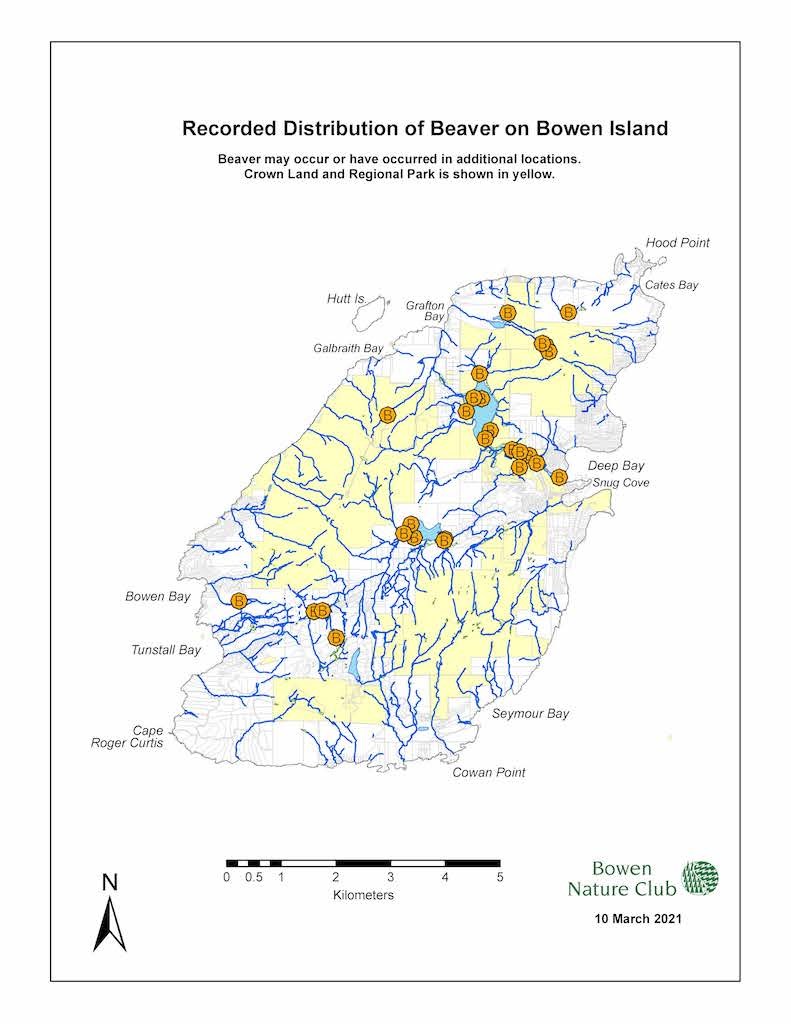 Beaver distribution map Bowen (1)