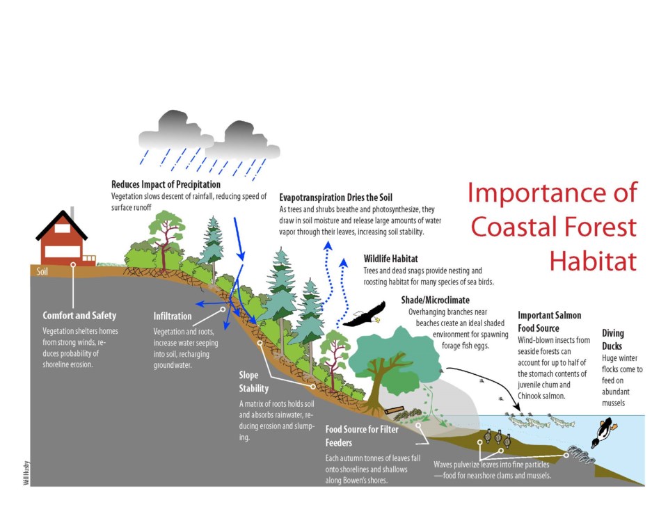 Importance of Coastal Forest Habitat