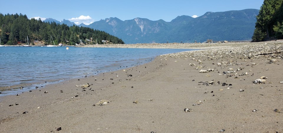 Sandy Beach panorama