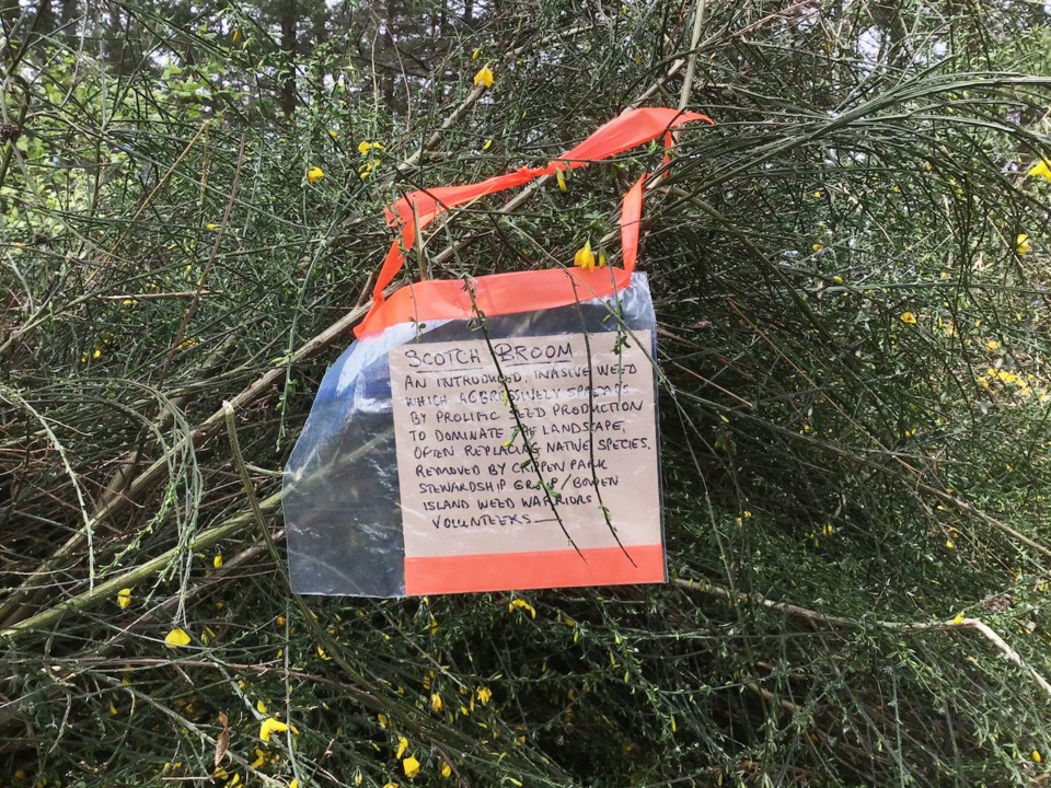 Sign on a flowering plant ripped up