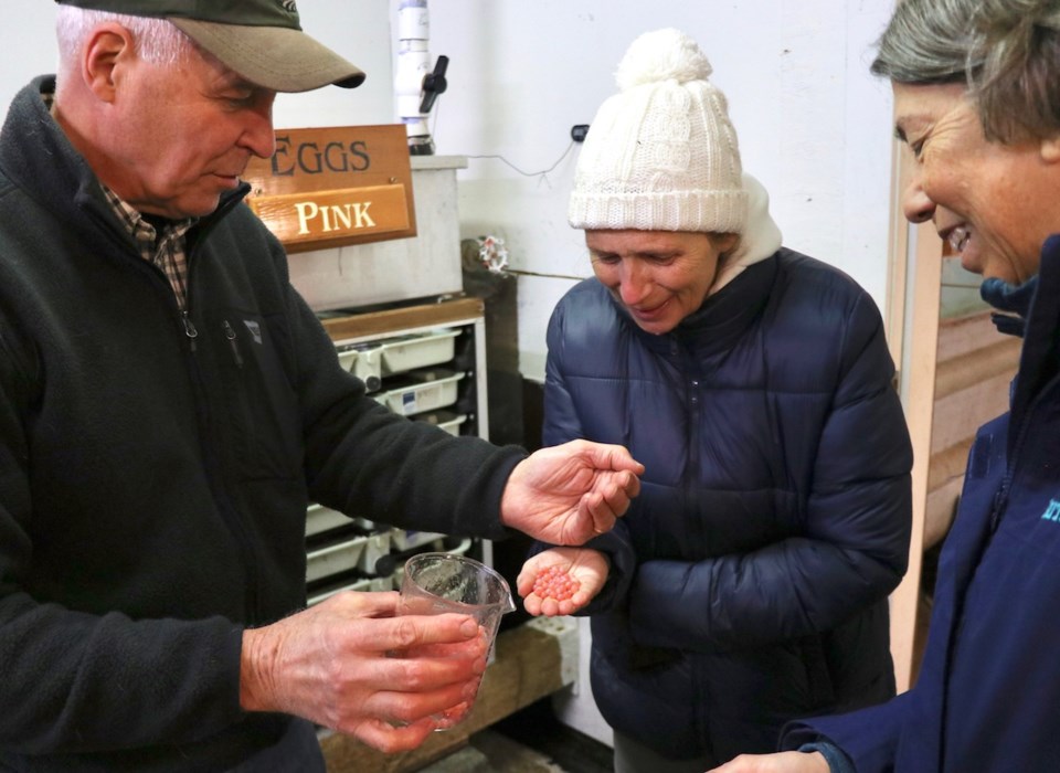 Tim Pardee pours some salmon eggs into Denise Richards' hands