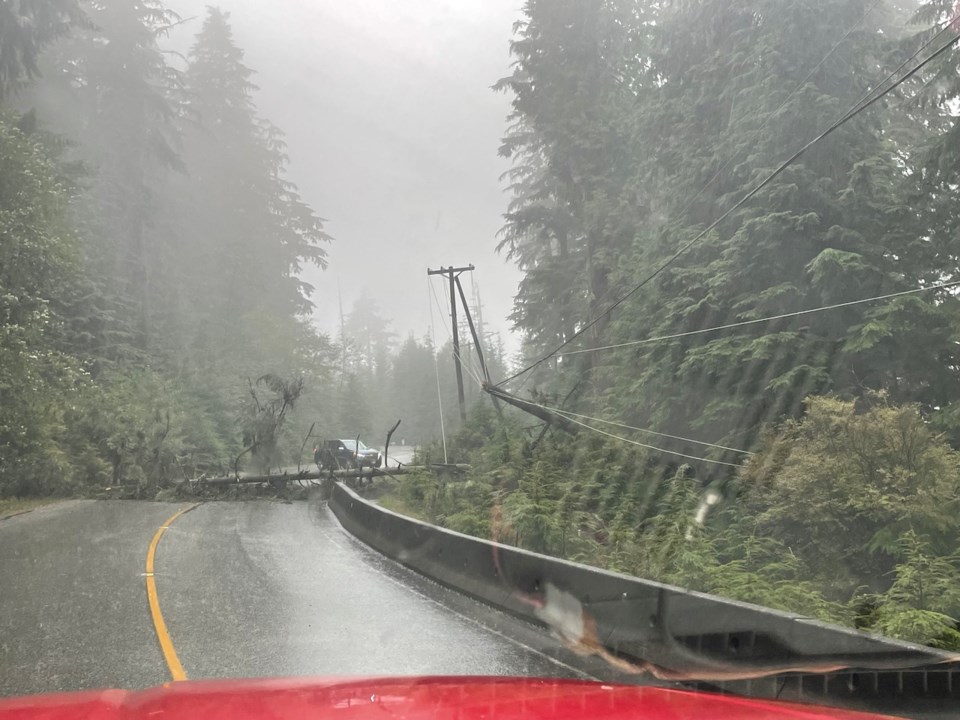 Tree down on a power line