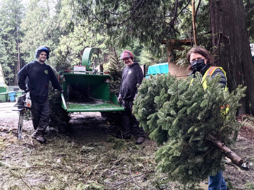 Jan Seaman holding a tree with B.I. Tree Service folks standing by the chipper