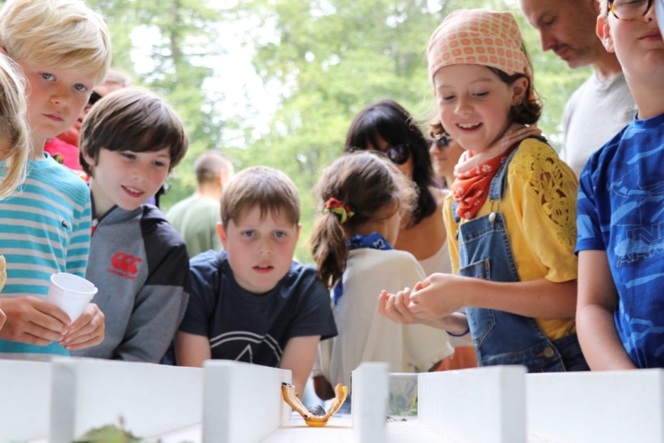 Kids watching a slug race at the country fair