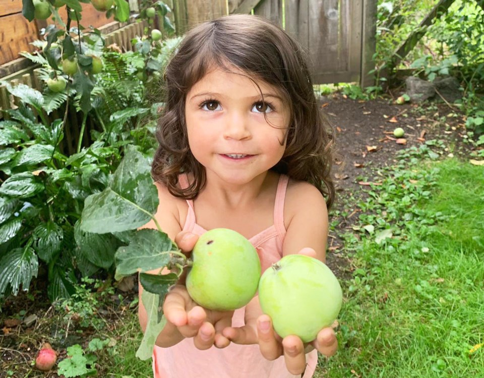 frankie with apples