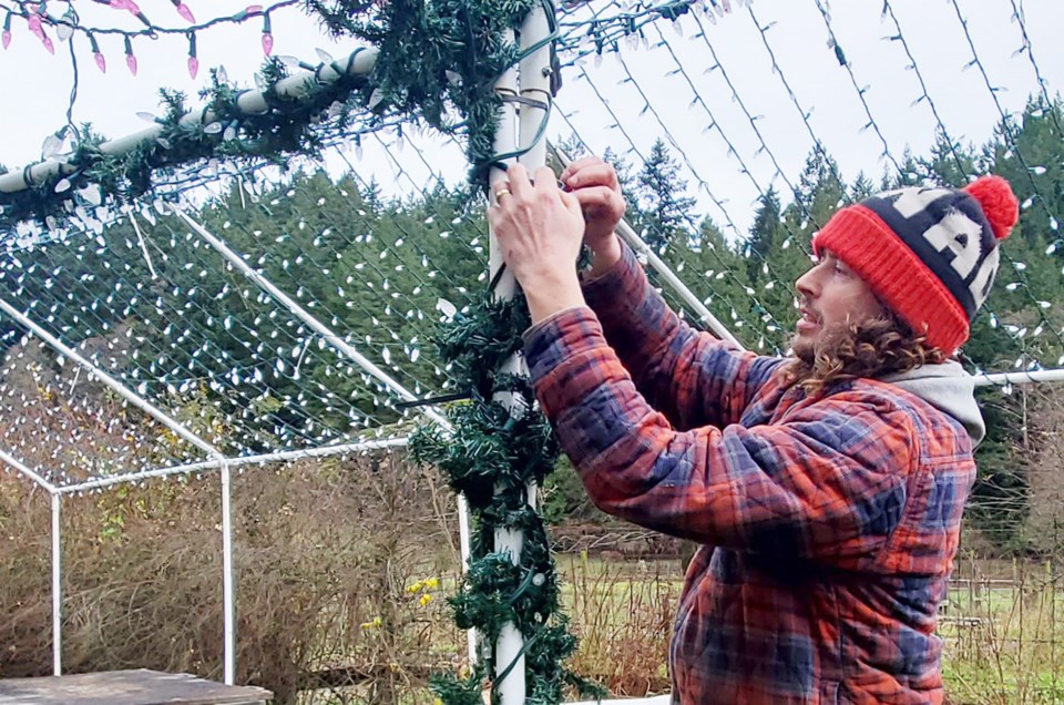 Noah Pryce-Jones prepares Christmas lights