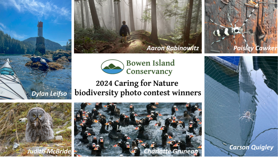 2024-photo-contest-winners