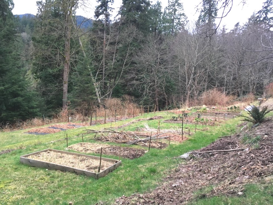 A series of winterized garden boxes in a field