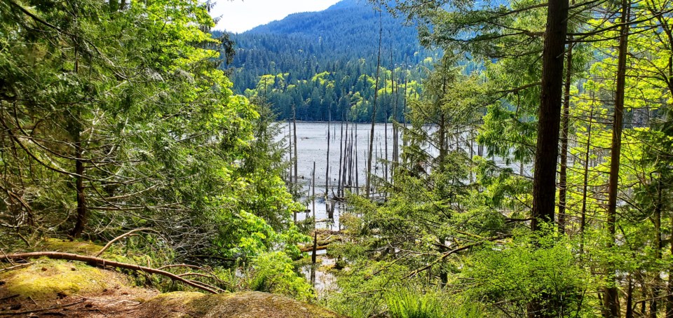 Killarney Lake file shot