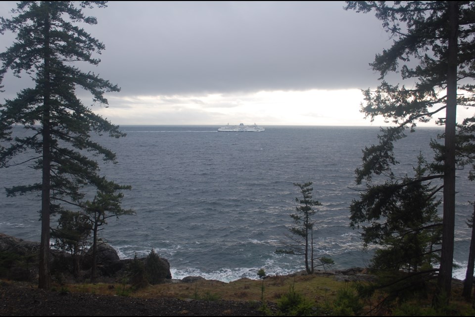 The ferry to Nanaimo can be seen in the distance from the southern shores of Cape Roger Curtis in early February. It's a view which Metro Vancouver hopes will one day form the backdrop to a new regional park on Bowen Island.