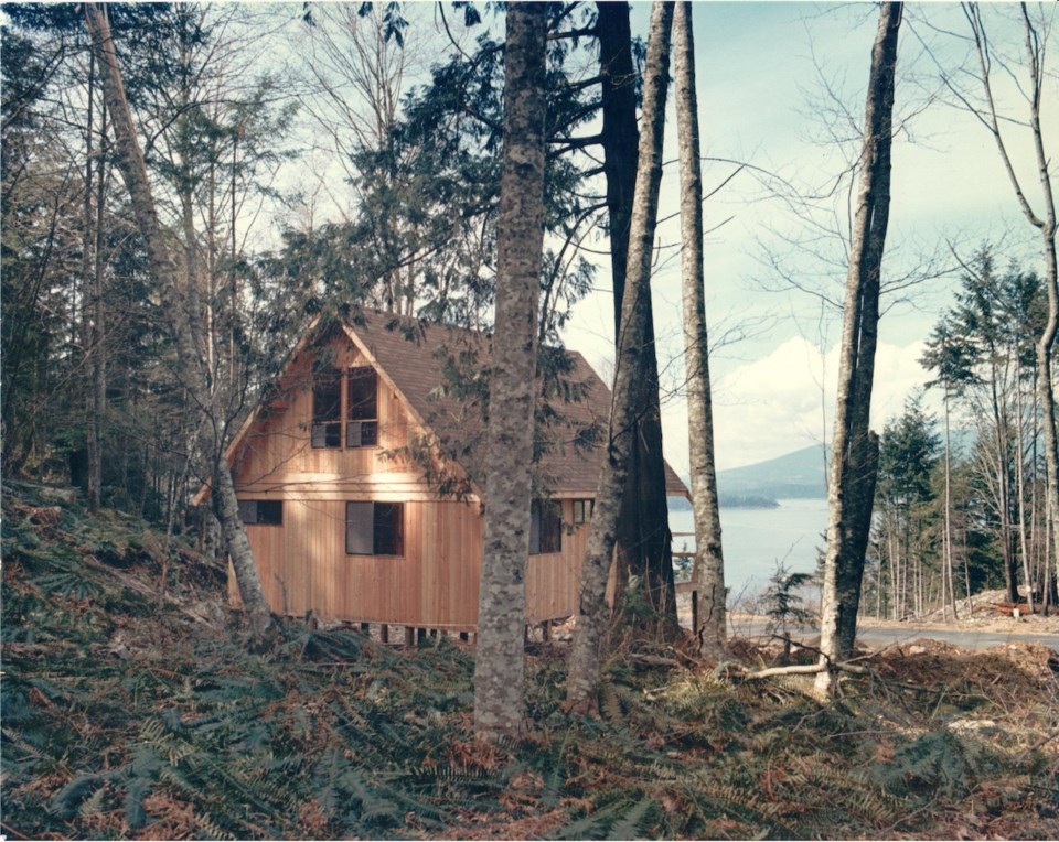 A house in the trees overlooking the ocean