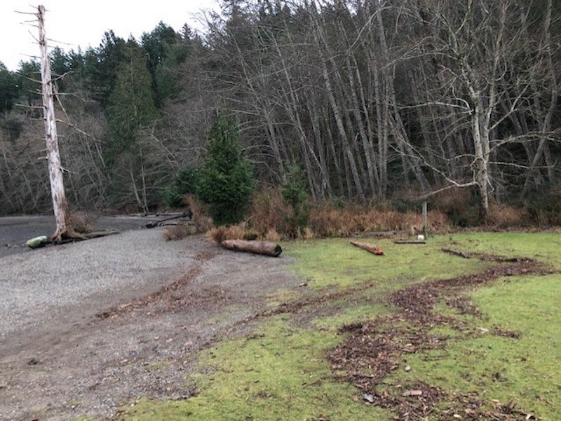 Dead hemlock at Bowfest Field with high tide line visible 