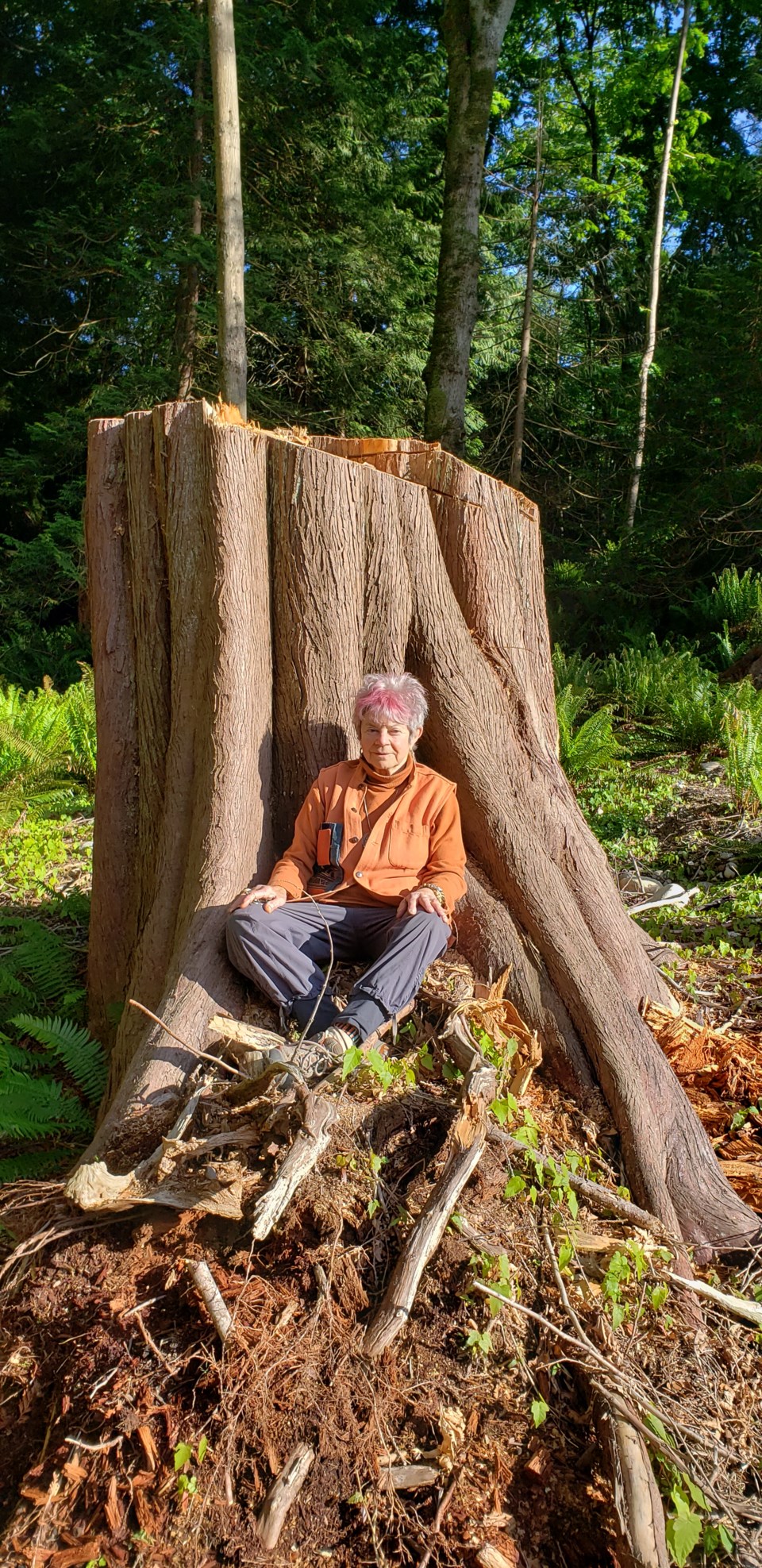 Kami sitting at the base of a tree