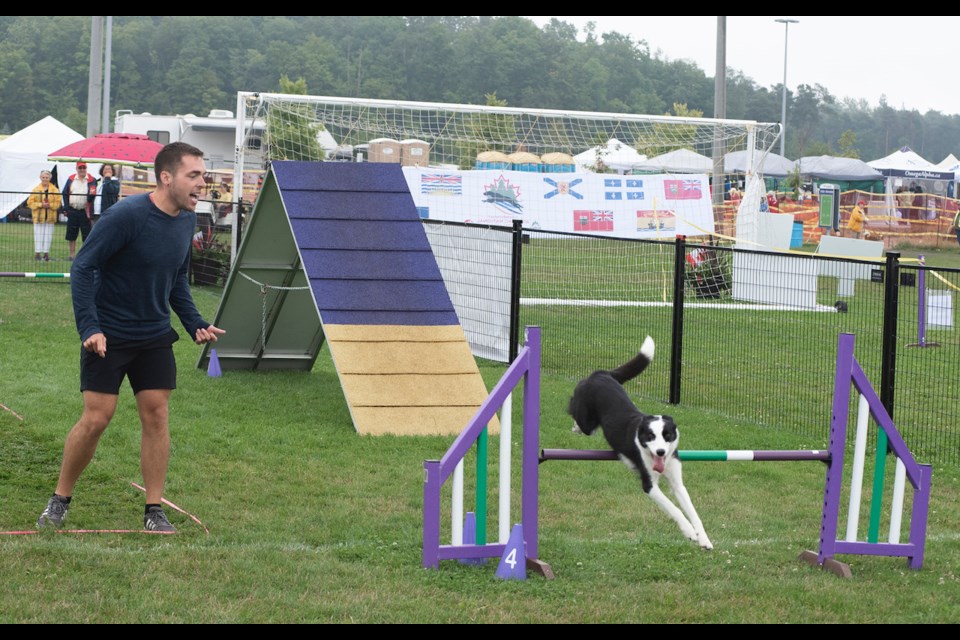 Joe Boudreau and his dog Jazz participate in one of the competitions at this weekend's national dog agility competition held in Innisfil. Boudreau has been involved with the AAC for a year.  Will Acri for BradfordToday