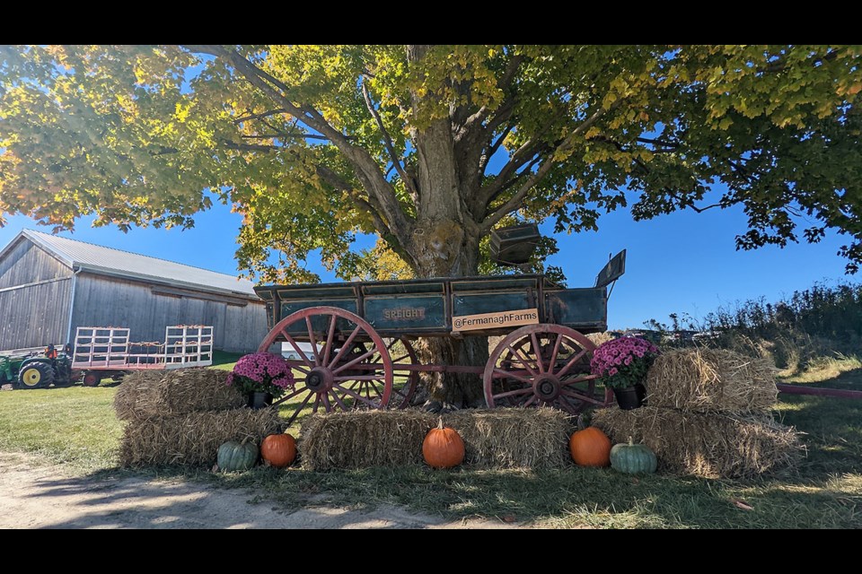 Fermanagh Farms is hosting their second-annual Fall Market on Sunday, Oct. 1, 2023, from 10 a.m. to 4 p.m., at 4023 Line3, in Bradford.
