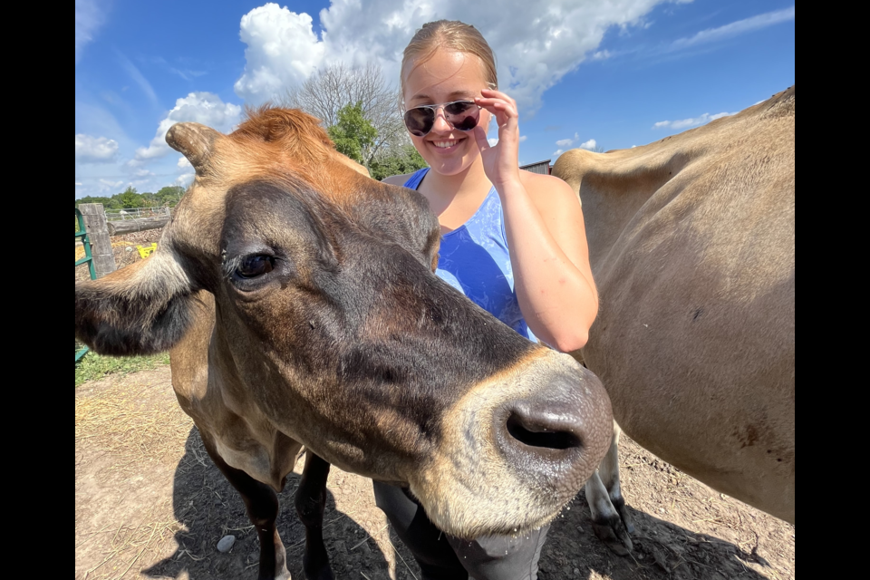 Allison Kalist got up close with a cow while helping at a farm animal sanctuary.