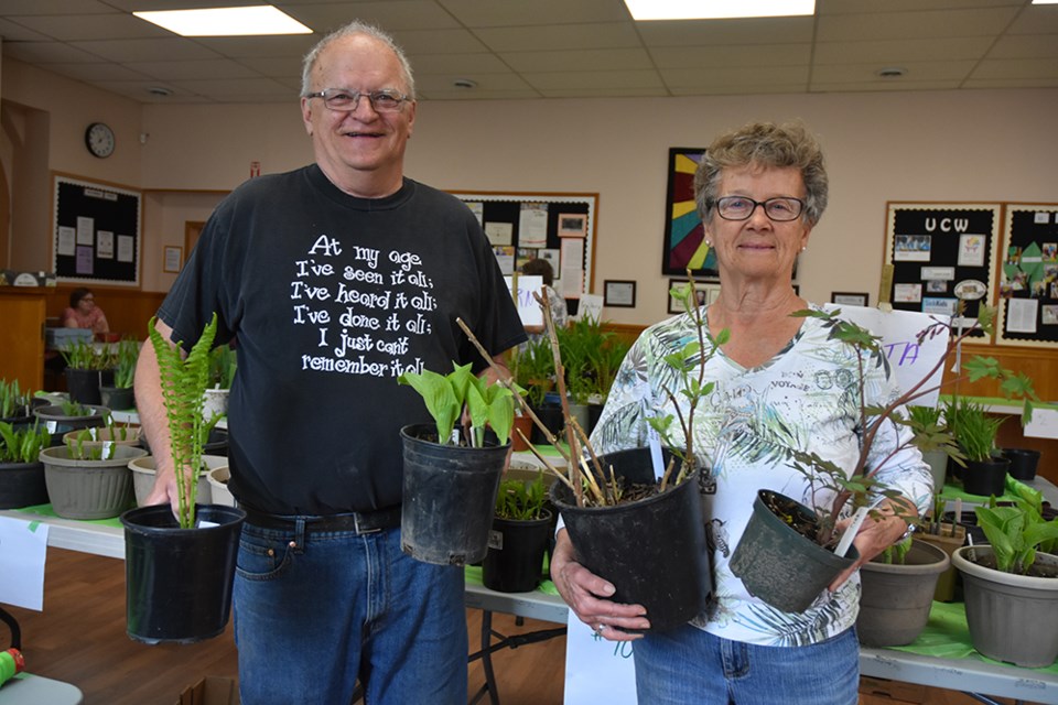 Bill Jermyn and Carol Bertram display some of the plants they shared at the Perennials Plus Plant Sale. Miriam King/Bradford Today