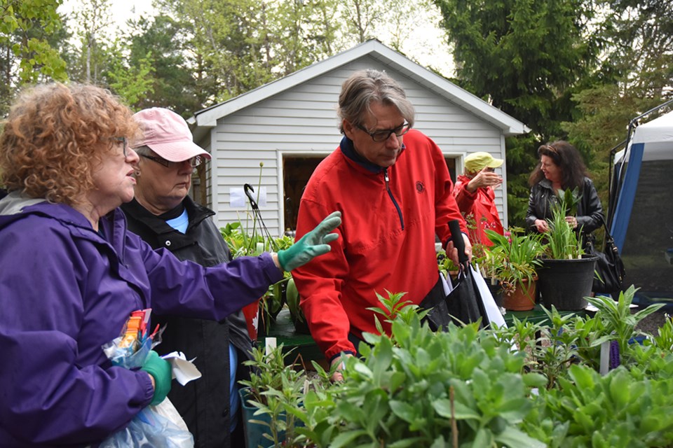 Mona Rea, left, provides gardening advice to shoppers at the Innisfil Garden Club's Plant Sale at the South Innisfil Arboretum. Miriam King/Bradford Today