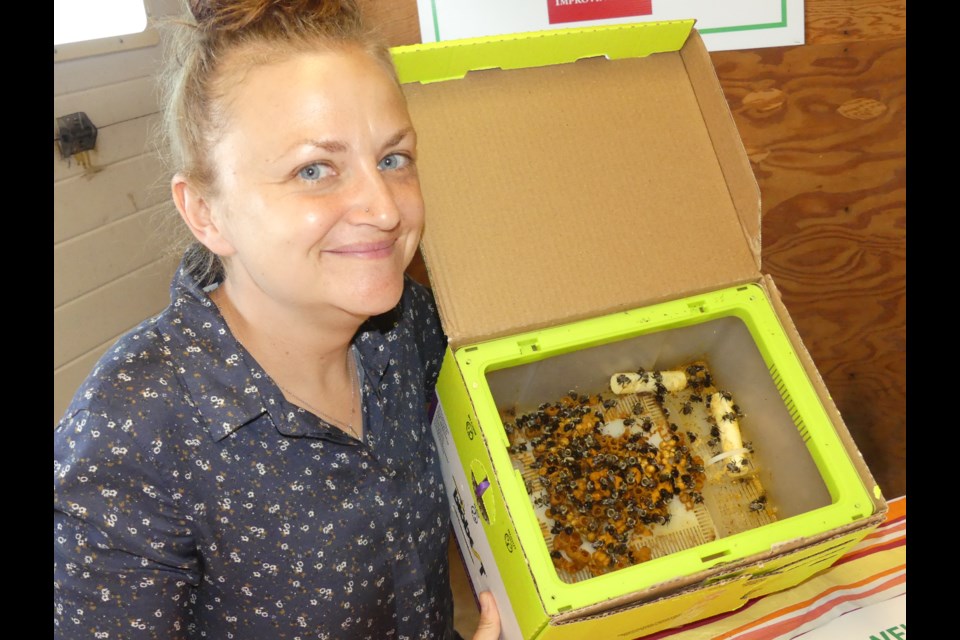 Angela Gradish, a researcher from the University of Guelph, has studied bees for 13 years. Jenni Dunning/BradfordToday
