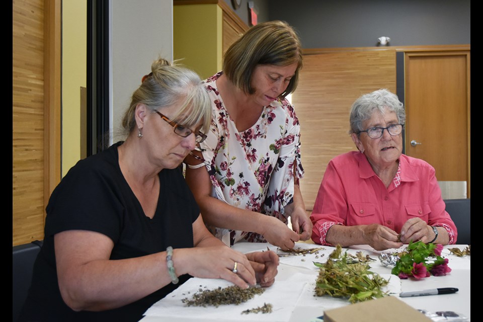 Maria da Costa, centre, demonstrates the art of saving seeds to Ivana Tittoto, left, and June Calder at the library. Miriam King/Bradford Today
