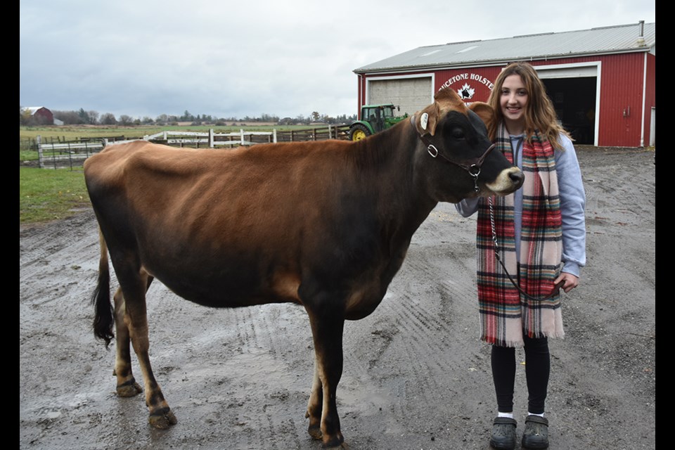 Brooklyn Lloyd and Taz at home at Sprucetone Dairies in BWG. Miriam King/BradfordToday